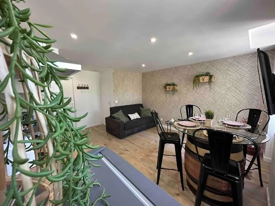 Apartment Appartement Vignes 2 Personnes Vienne  France