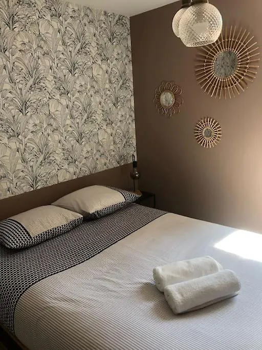 Apartment Appartement Vignes 2 Personnes Vienne  France